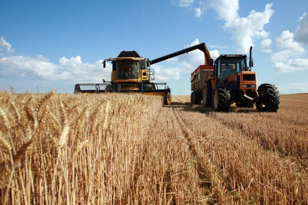 Récolte du blé : moissoneuse et tracteur