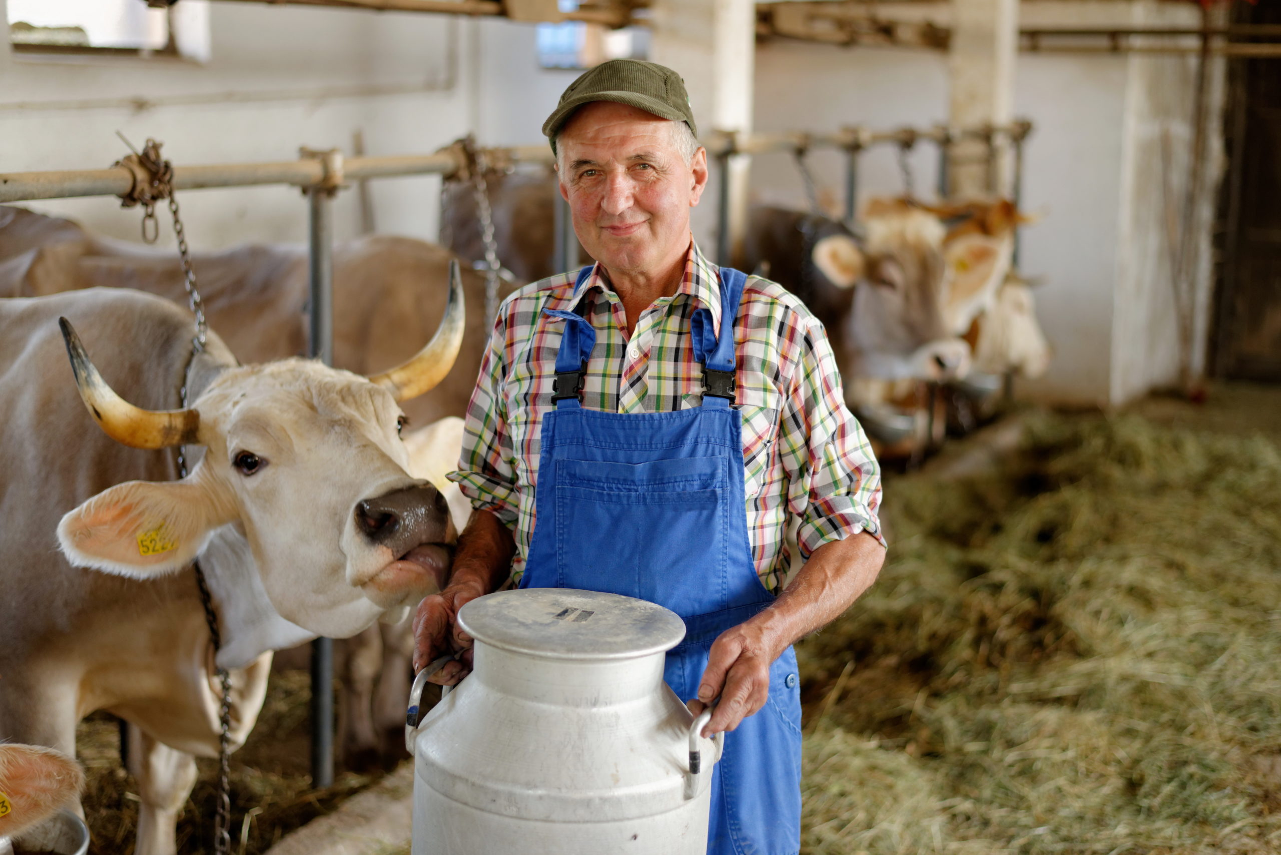 Food traceability Kezzler