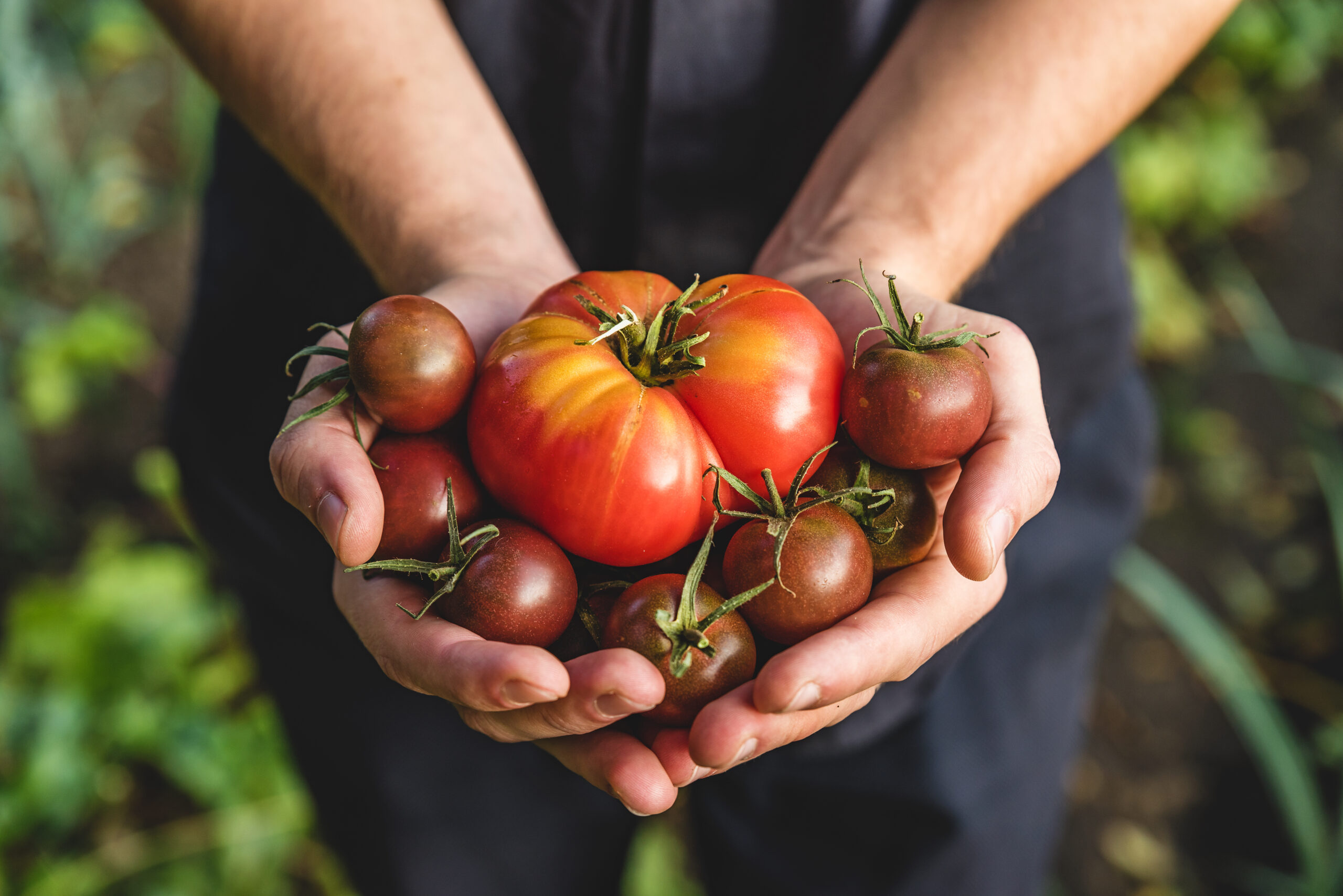 Kezzler and iFoodDS demonstrate technical interoperability to streamline FSMA 204 compliance across the food supply chain
